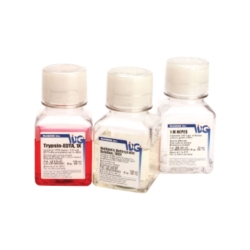 Penicillin- Streptomycin, Solution