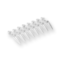 PCR Strip Tubes 8-Strip and Individual caps, PCR 8-스트립 튜브&개별부착캡